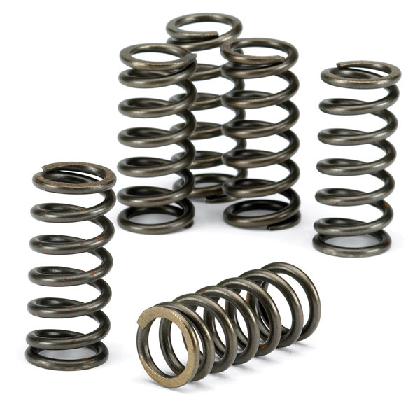 EBC EBC Clutch Spring Kit CSK091